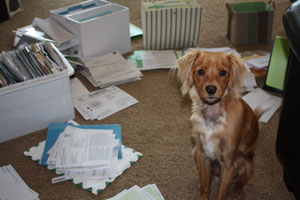 Hayley helps us get organized