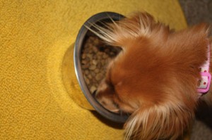 yummy lamb and rice