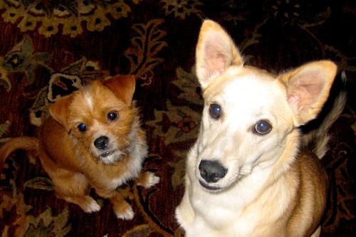 Charlie and Bina