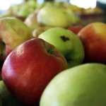 apples
