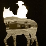 cowboy