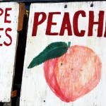 peachessign