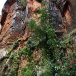 zionpeaks3